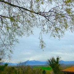 P1190780    Mt. Baldo e lago.